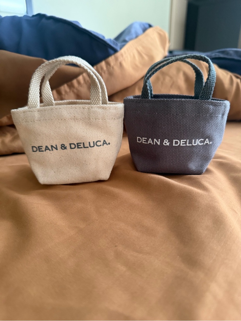 DEAN & DELUCA. Micro-Mini Canvas Tote Bag - Natural and Gray